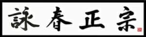 Wing Chun Roermond